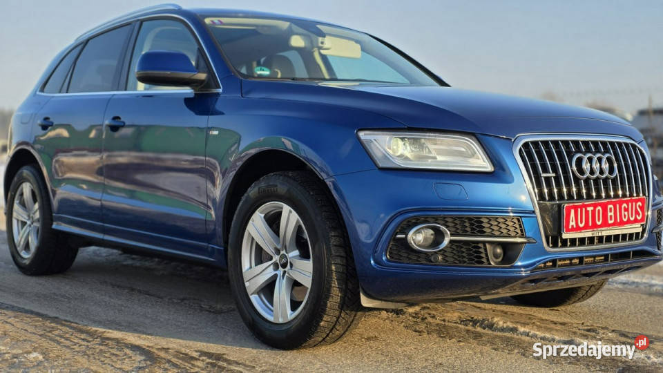 Audi Q5 Led quattro automat DUZA NAVI S LINE Lębork