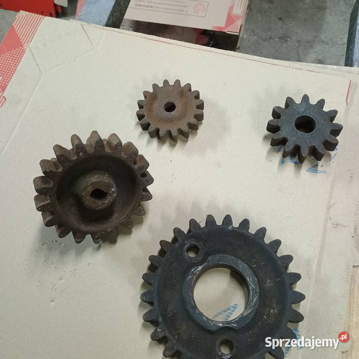 Koła zębate do siewnika konnego podlaskie Szypliszki