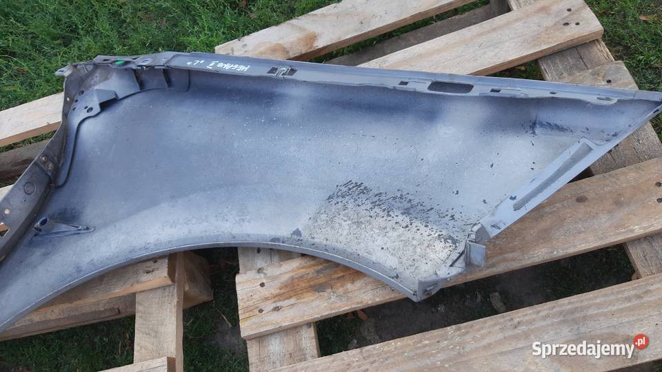 lak TEA19 błotnik lewy przedni Renault Megane II Błotniki Dębno