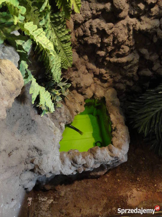 Sprzedam terrarium 250 Piaseczno