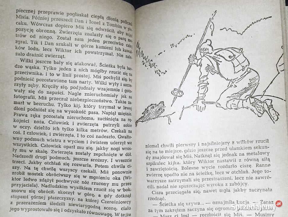 Śnieżne skrzydła Constantin Chiri Chełm