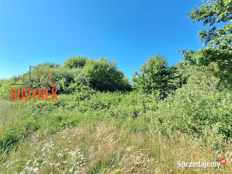Działka budowlana Barzowice 130zł/m2 sprzedam