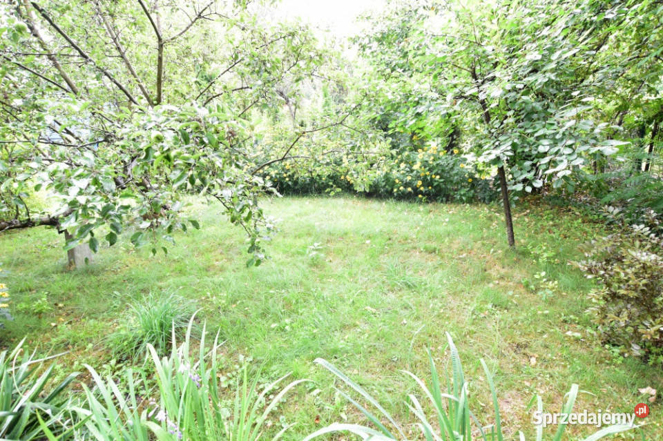 Działka rekreacyjna ROD RAi z domkiem Warszawa