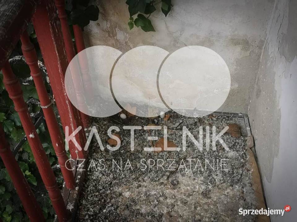 Sprzątanie gołębiach Kutno Kastelnik mycie