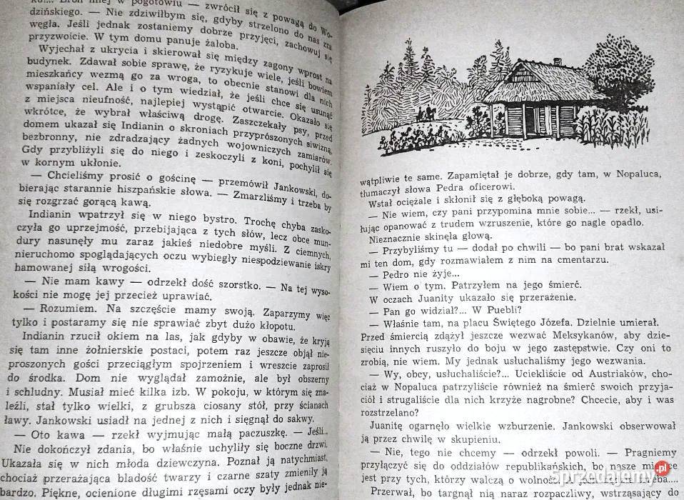 Cień Montezumy Bolesław Mrówczyński miękka Chełm