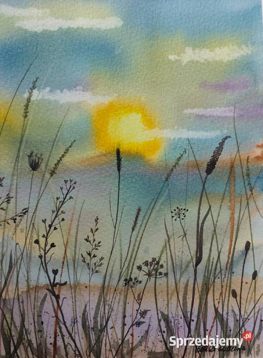 Akwarela Akwarelka Obraz pt Łąka sprzedam