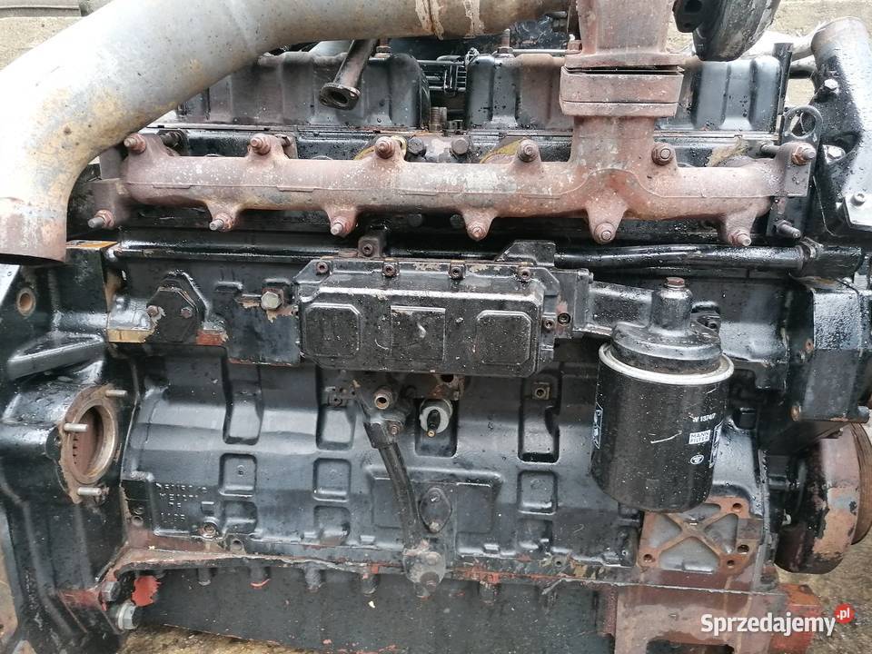 Części blok wał korbowy głowica Massey Ferguson Zajęczniki