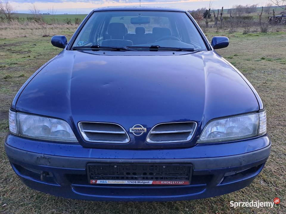 Nissan Primera P11 96r 16B SLX z Niemiec benzyna Myślibórz