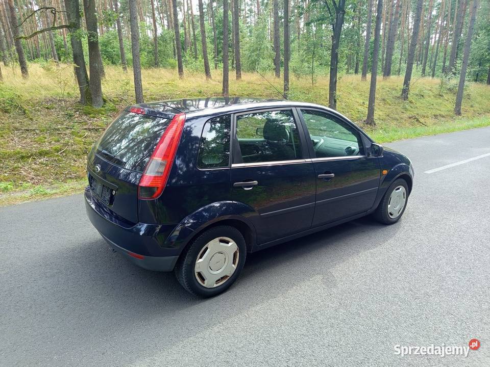 Ford Fiesta Leszno