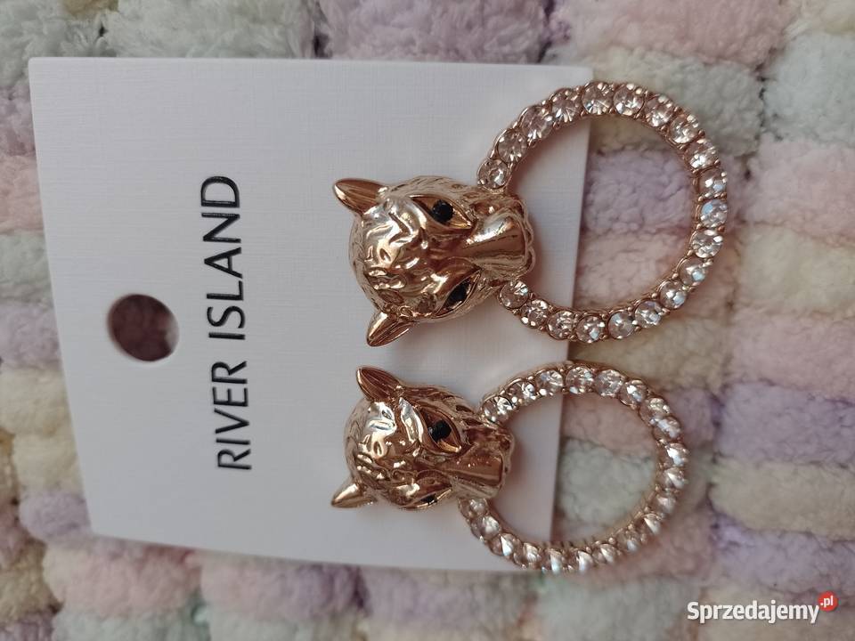 RIVER ISLAND Bogato zdobione kolczyki tygrysy Dla kobiet Dodatki małopolskie Kraków