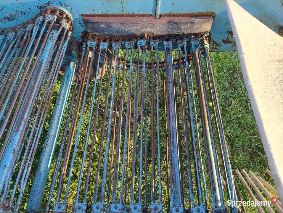 Kopaczka elewatorowa do ziemniaków sprzedam