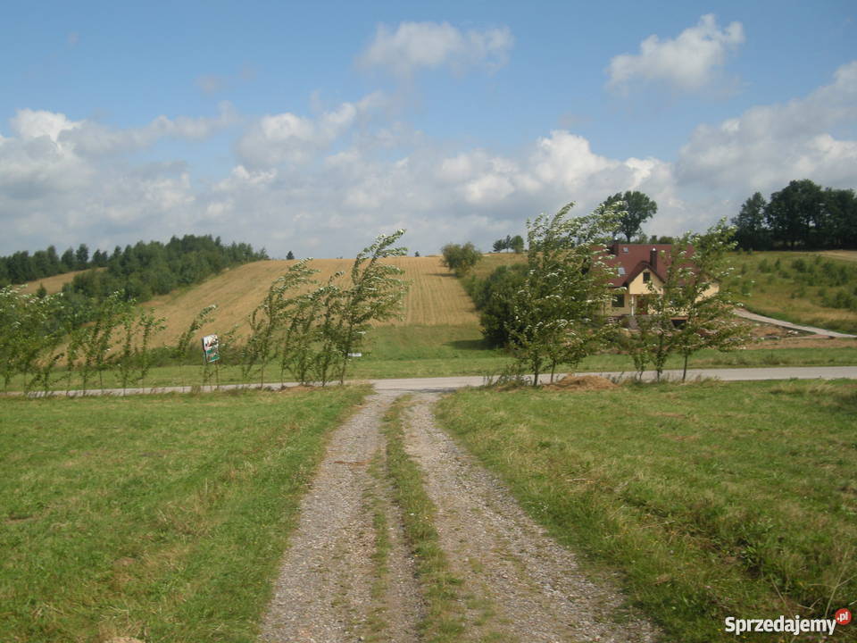 działka budowlana asfalt Wiącka