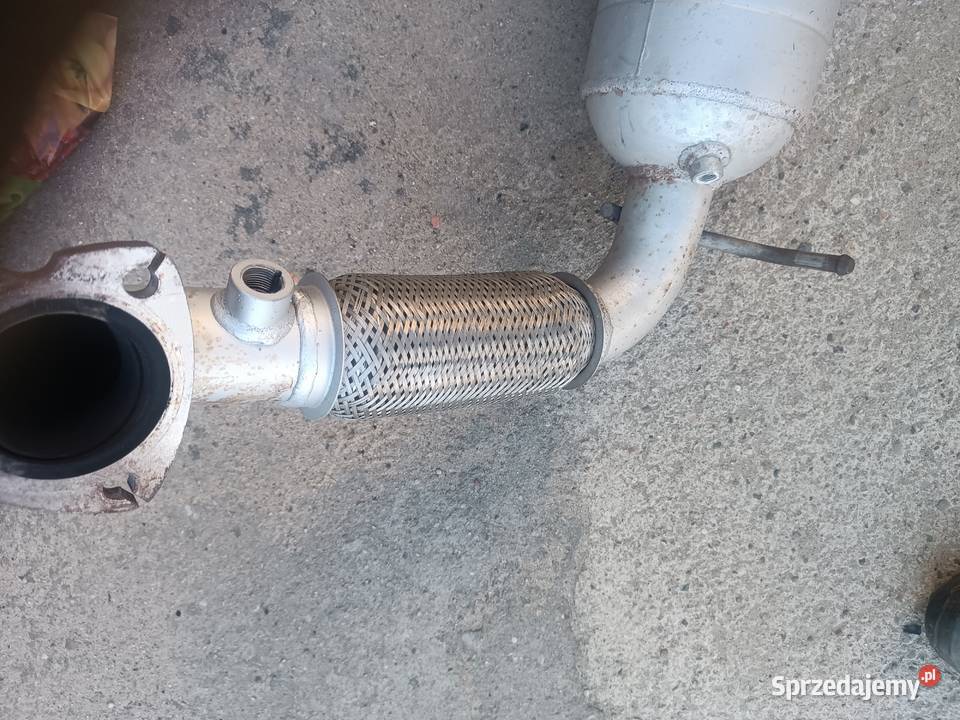 DPF ford transit 22 diesel Międzychód