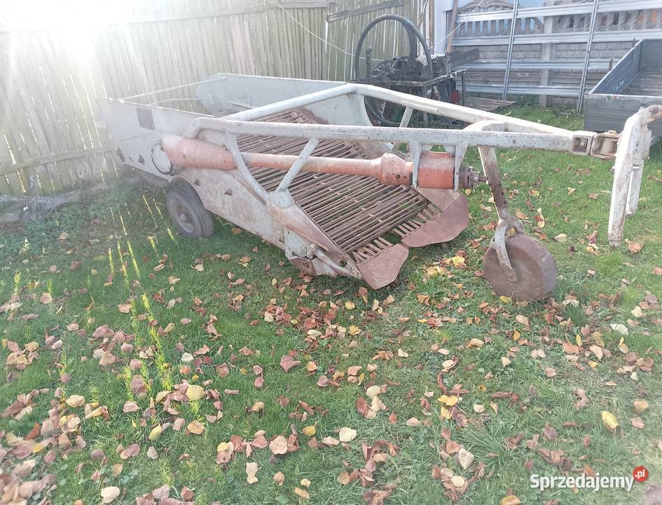 Kopaczka elewatorowe transport mi 2rzedowa Nowa Drożki