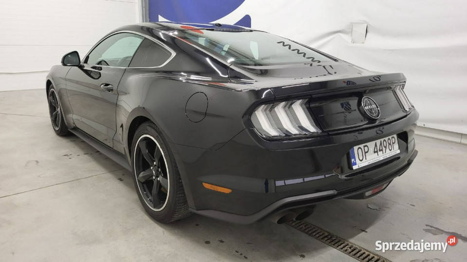 Ford Mustang 50 V8 Bullitt VI 2014 benzyna Mustang Grójec