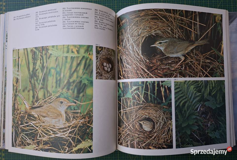 Sparnuociu Pasaulyje In the World of Birds Kraków