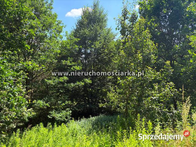 Działka Mszana 3550m2 Sprzedaż