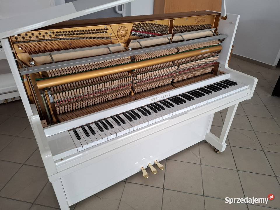 Pianino Young Chang 121 białe nowe Instrumenty klawiszowe i MIDI Brzesko sprzedam