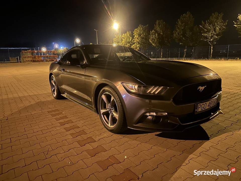 Ford mustang 37 305 Zdrój