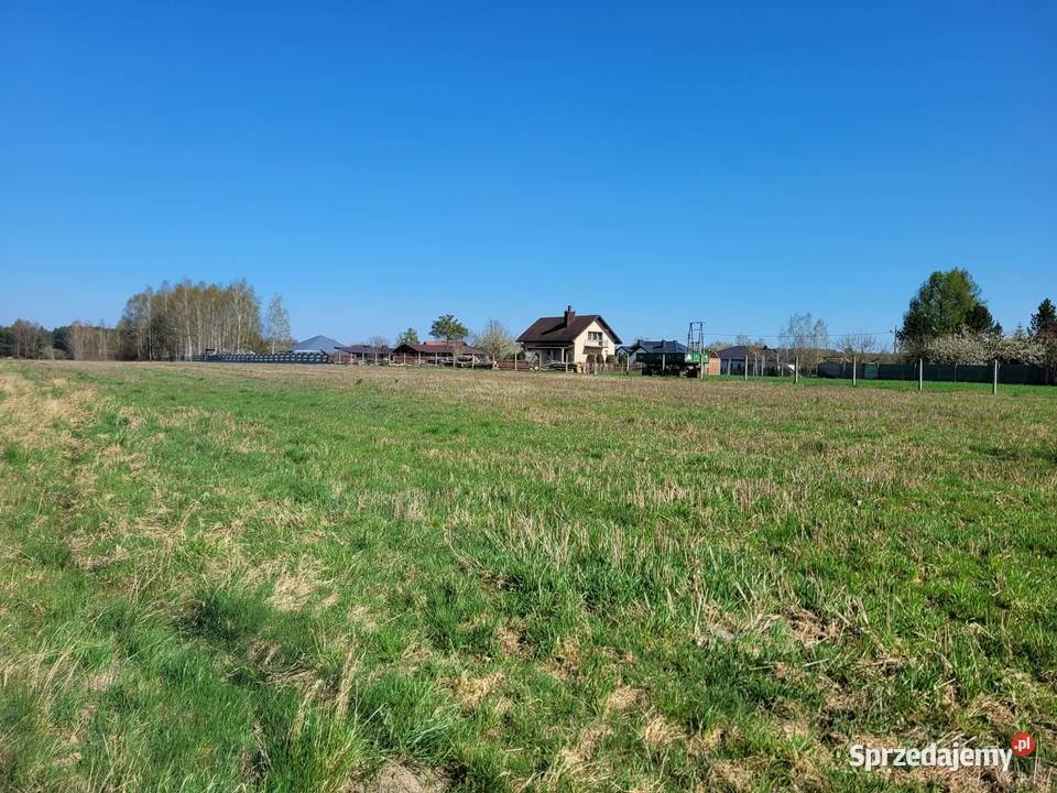 Działka z aktualnymi warunkami zabudowy Sprzedaż łódzkie Pławno
