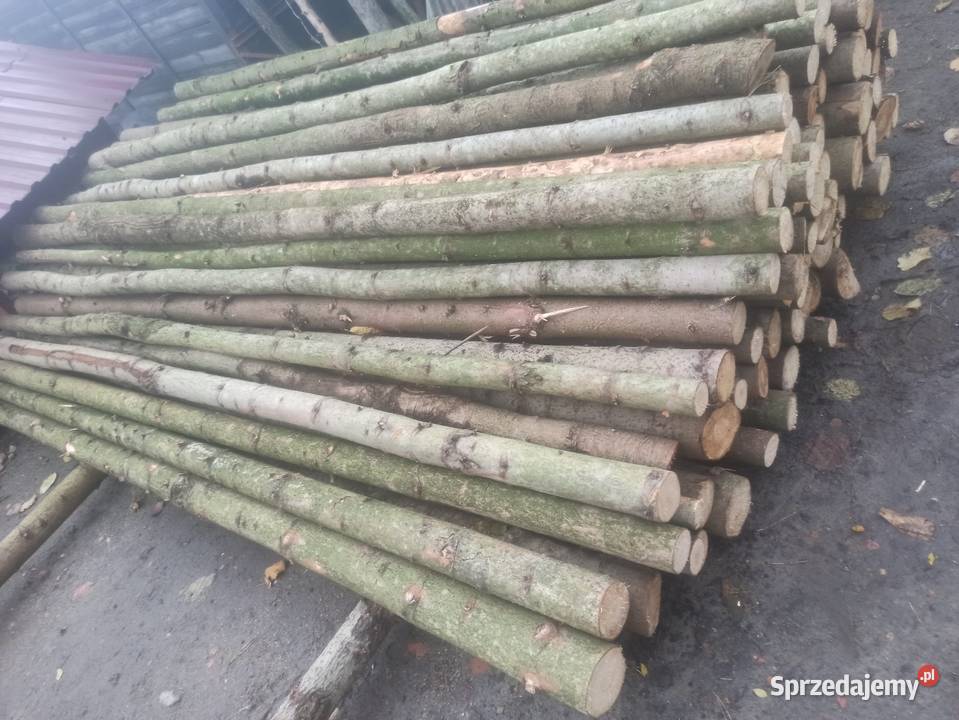 Stemple budowlane sprzedam