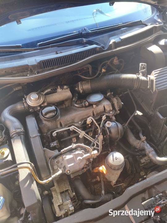 Golf 4 19tdi 110 opłaty na hak Rok produkcji 2000 podlaskie Czyże