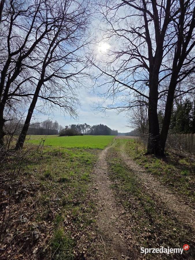 Działka rolna z możliwością budowy w uroczej 9036m2