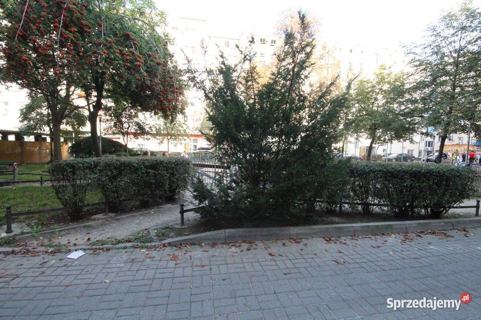2pok 52met Placu Macieja PARKINGPIWNICA Wrocław Rok budowy 1930 dolnośląskie
