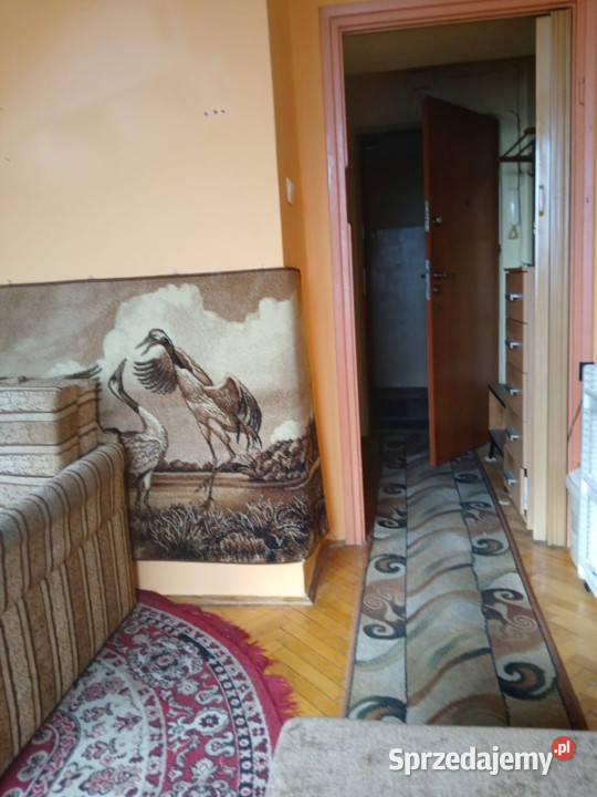 Kawalerka krakow Kraków