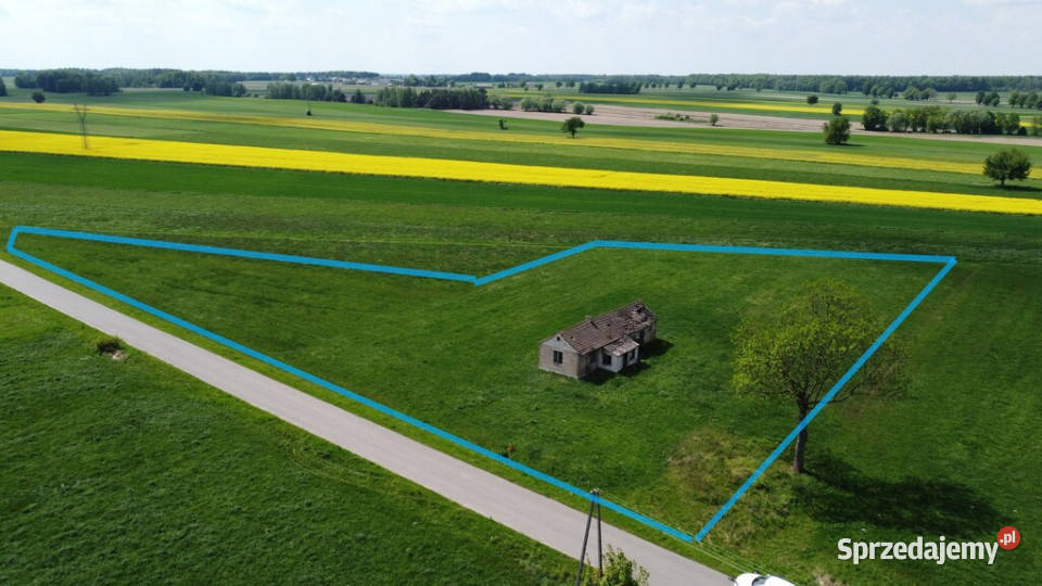 Działka rolnobud w Czarnolesie gm Policzna Czarnolas