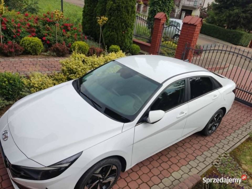 Hyundai Elantra CN7 EXECUTIVE Elantra Hyundai podkarpackie Jasło