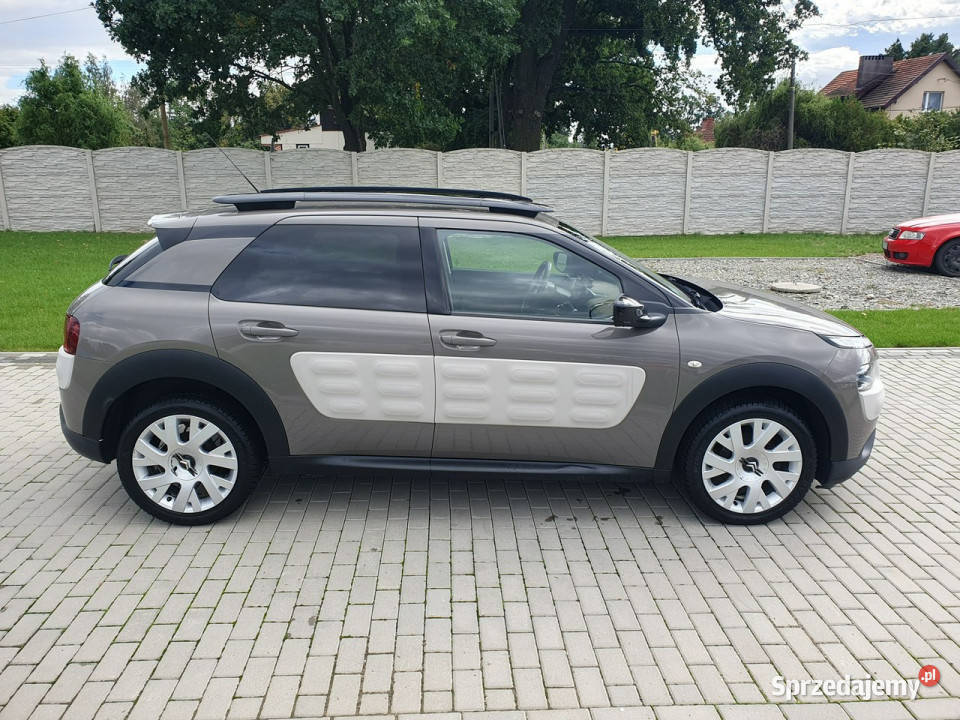 Citroen C4 Cactus 16hdi 100 Klima Navi Alu Felgi Strobice