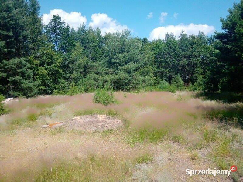 Na sprzedaż działka budowlana o powierzchni 2008 Cieszanowice