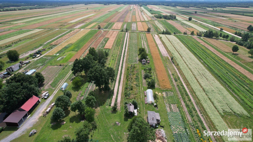 Działka Aleksandrów 2900m2