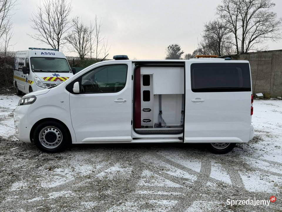 samochody kempingowe Opel Vivaro Opel Vivaro Gostyń sprzedam