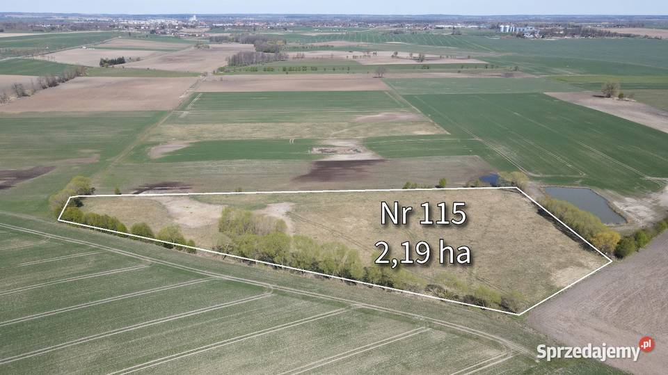 Działka rolna 219 ha pod Bartoszycami Plęsy Sprzedaż Bartoszyce