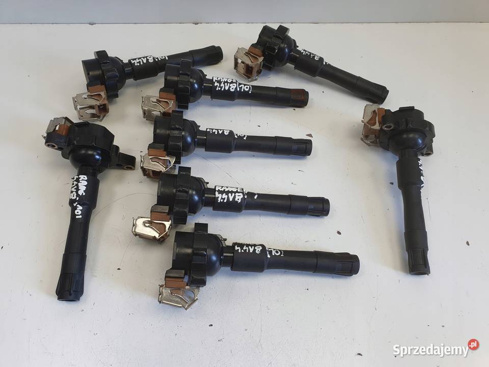 CEWKA ZAPŁONOWA Range Rover III L322 44 V8 Pozostałe Części samochodowe Chełm
