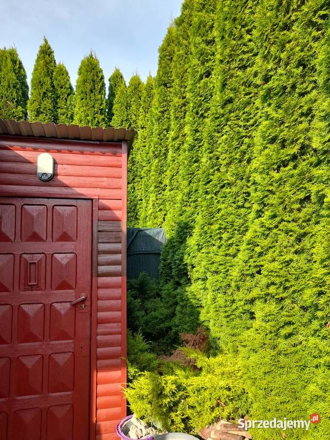 Działka ROD 300 m2 Ostrowiec Świętokrzyski