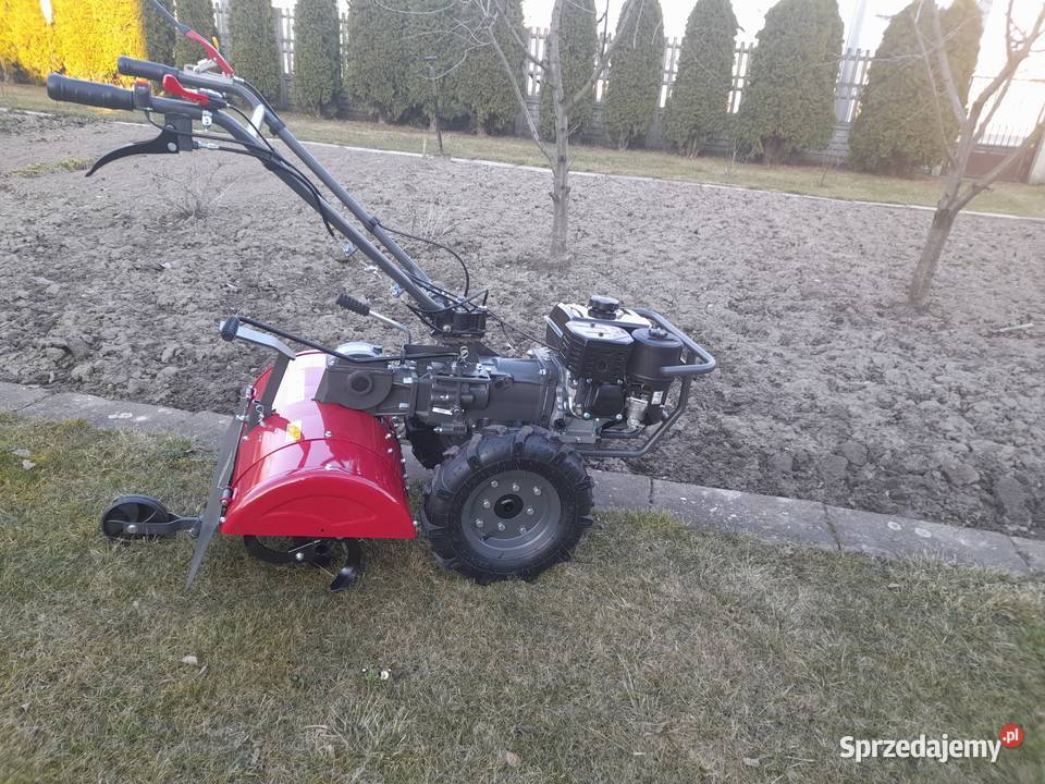 Czyszczenie działek wycinka przycinka zakrzaczeń Skierniewice prace ogrodowe