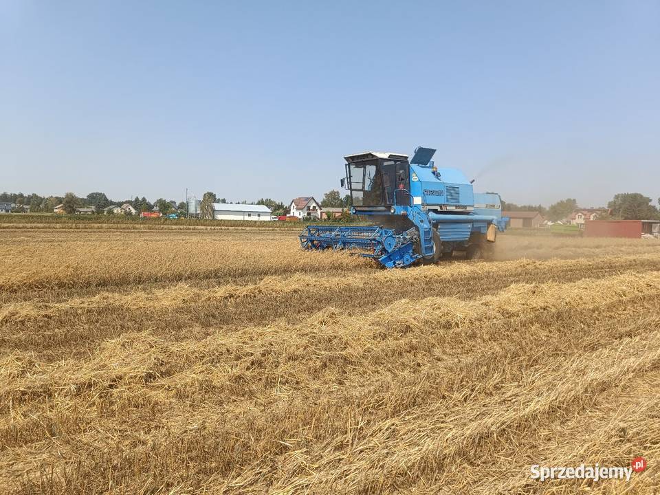 Bizon Z058 rekord sieczkarnia stół do rzepaku Bizon Zbożowe Strzeszkowice Duże sprzedam
