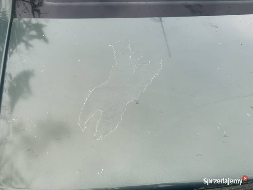 Vectra c Vectra łódzkie