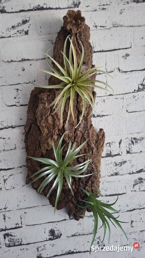 Ozdoba do akwarium terrarium Łódź