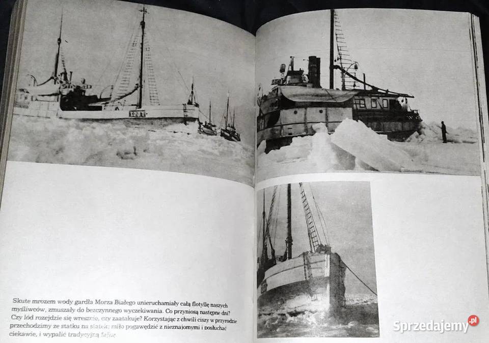 Czy foka jest biała Czesław Centkiewicz Pozostałe Chełm sprzedam