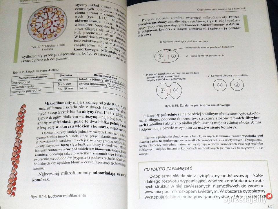 Botanika i biologia komórki Andrzej Batko W Chełm sprzedam