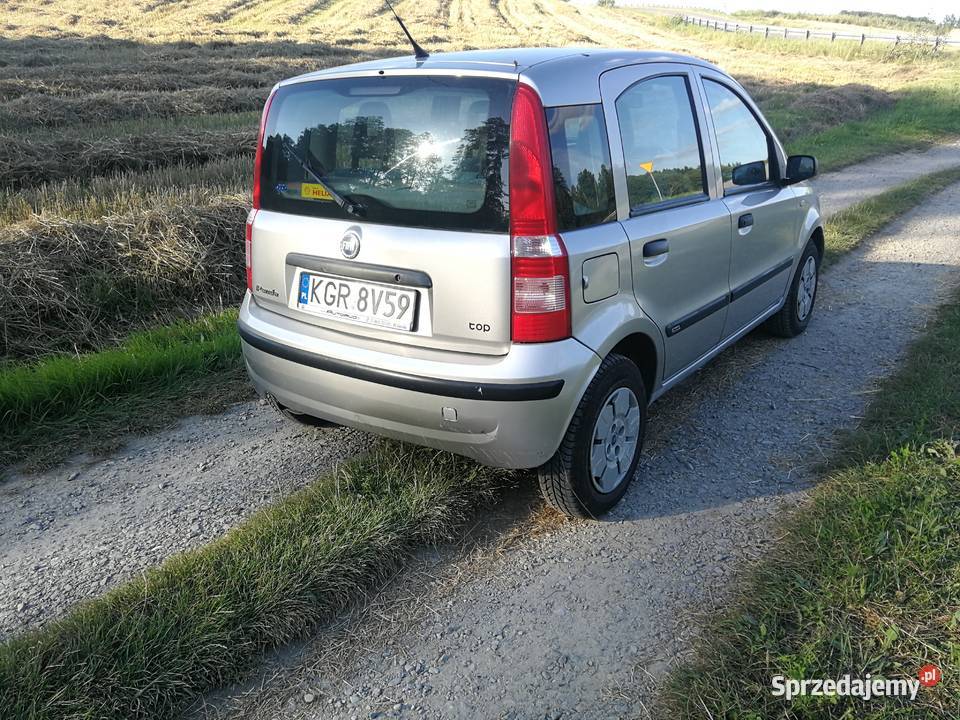 Fiat Panda Gnojnica