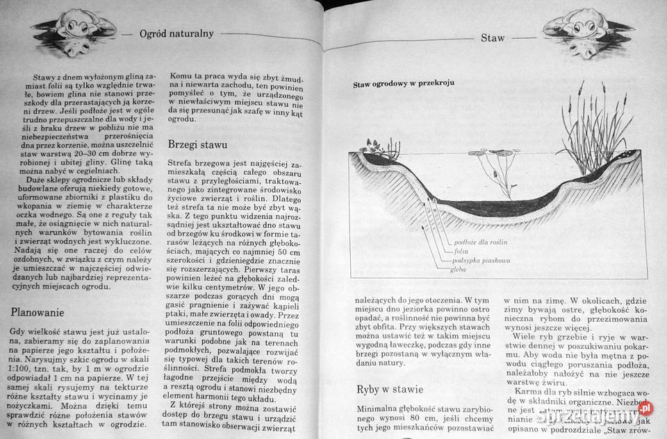 Pomysłowe urządzanie ogrodu Susanne i Sabine