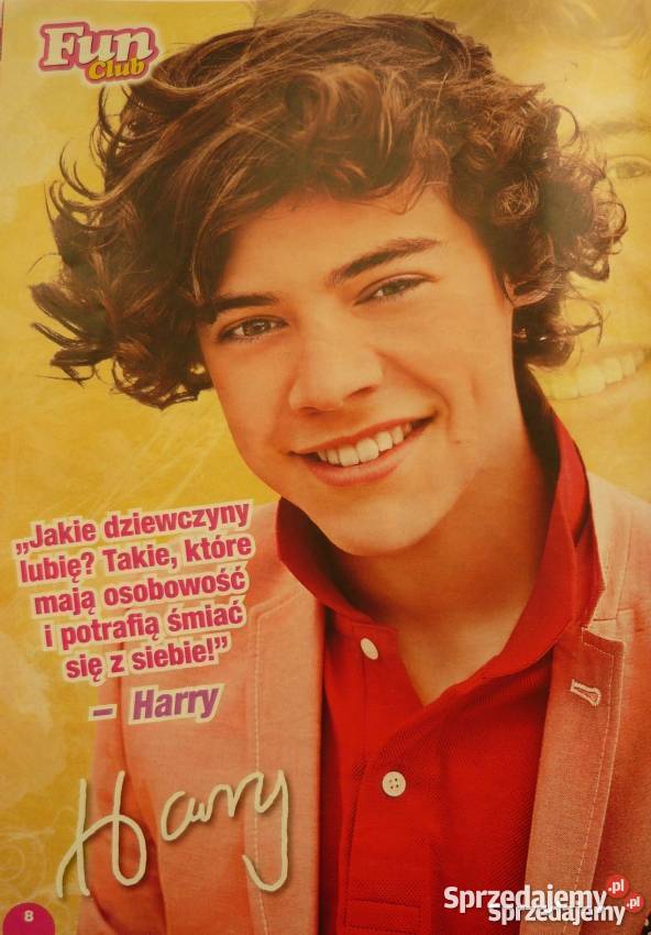PLAKATY STYLES HARRY WYPRZEDAŻ ŚWIAT PLAKATÓW Bydgoszcz