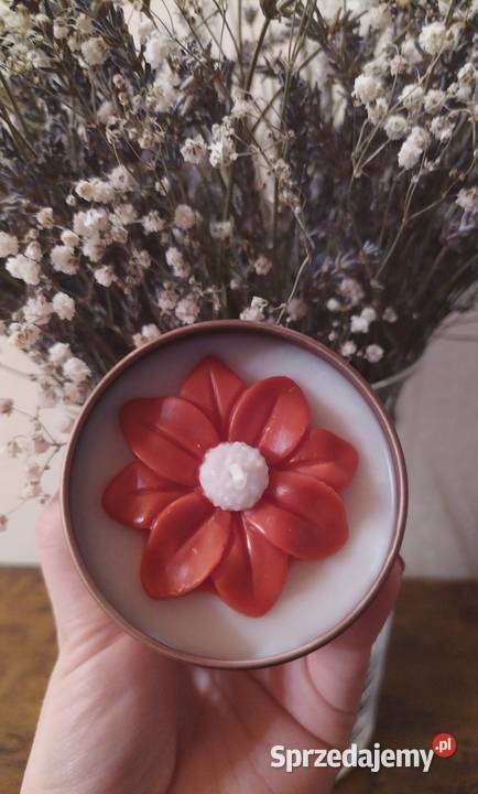 Świeczka zapachowa czekolada i ziarna kakao Łowyń