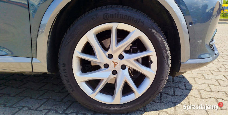 Cupra Formentor 20 TSI 4x4 bogata lakier metallic Dąbrowa Górnicza