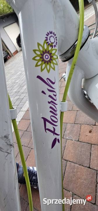 Rower dziewczęcy LIV Flourish 24 aluminiowa rama Tarnowskie Góry